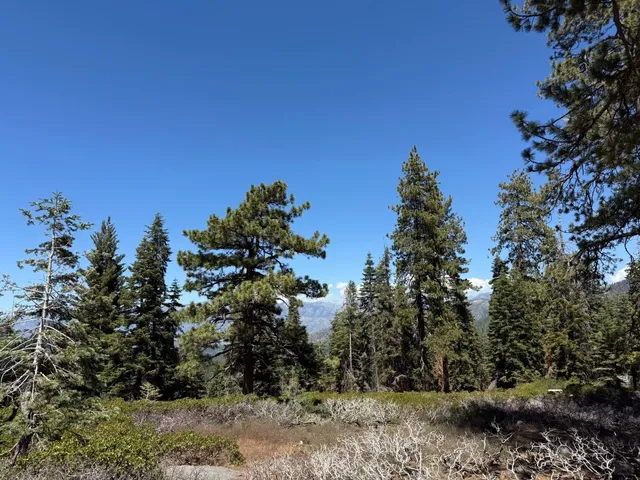 FresnoTravel Kings Canyon National Park 🏞️