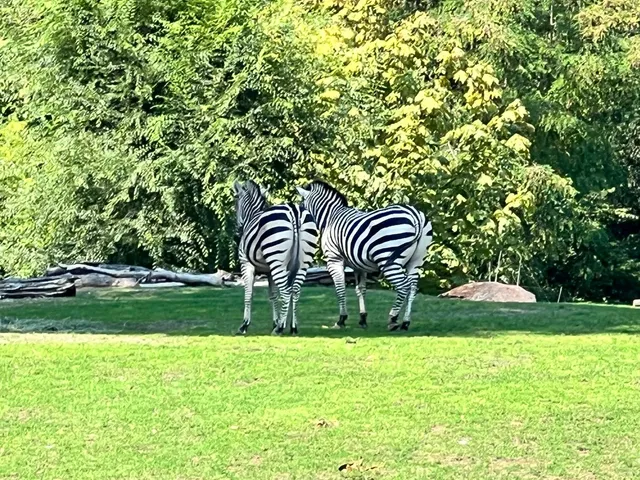 Seattle | City Pass Guide + Attraction Overview