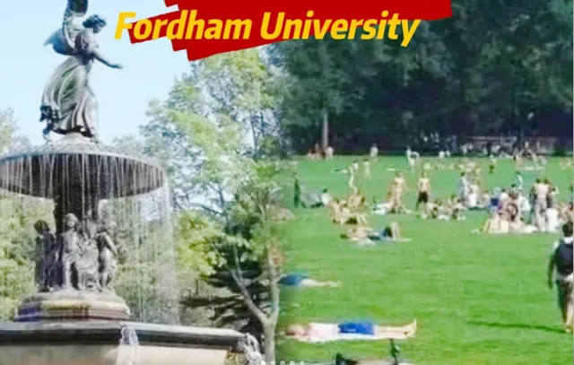 Manhattan's Hidden Gem: Fordham Gabelli School of Business(1)