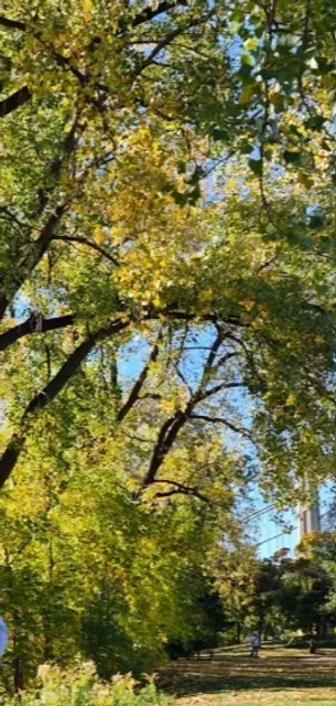 Nicollet Island Pavilion – A Historic Riverfront Hub for Events