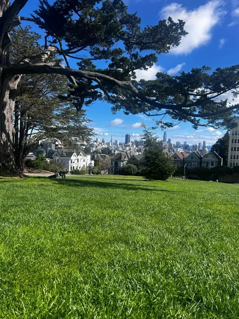 This place must be San Francisco’s high-energy spot, right? ⚡🌿