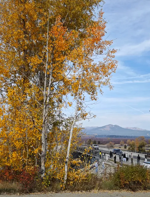  Jackson Lake in Grand Teton National Park, USA