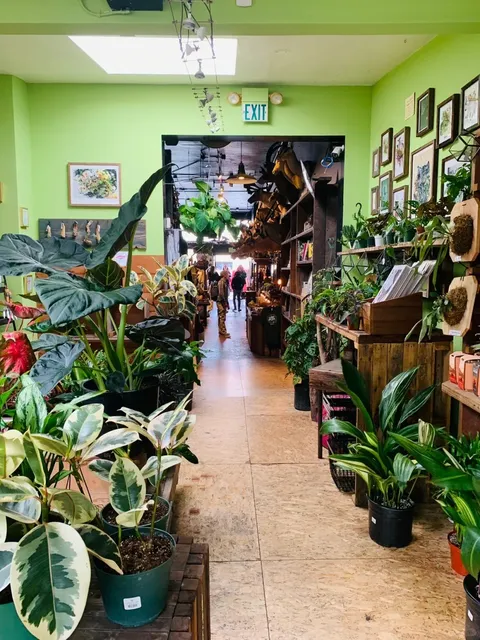 San Francisco's Mission District: A Day on Valencia Street 🌆✨