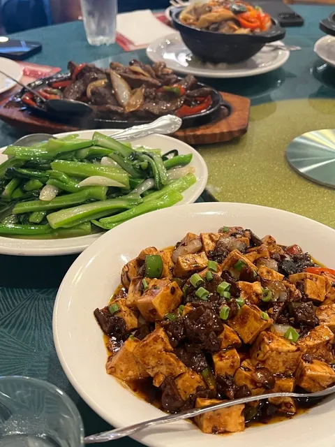 🇨🇦 Regina Chinese Food | Pure Joy in Every Bite ❗️🍚
