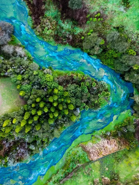 In New Zealand, Impressionism Is Just Realism 🎨  