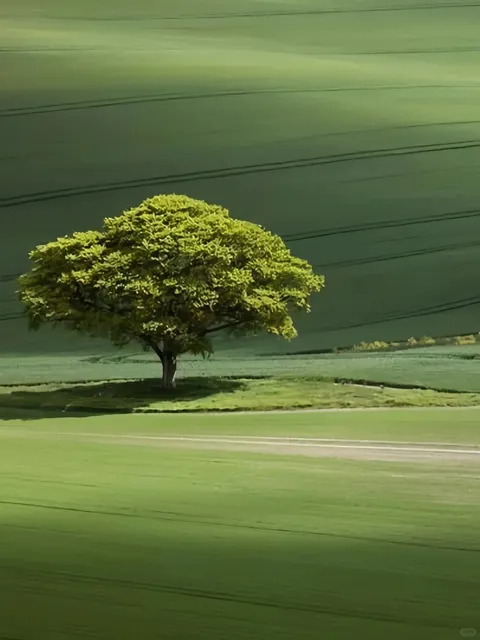 🇬🇧 ​​South Downs: London’s Nearest Slice of Hiking Heaven!​​ 🌿🏞️