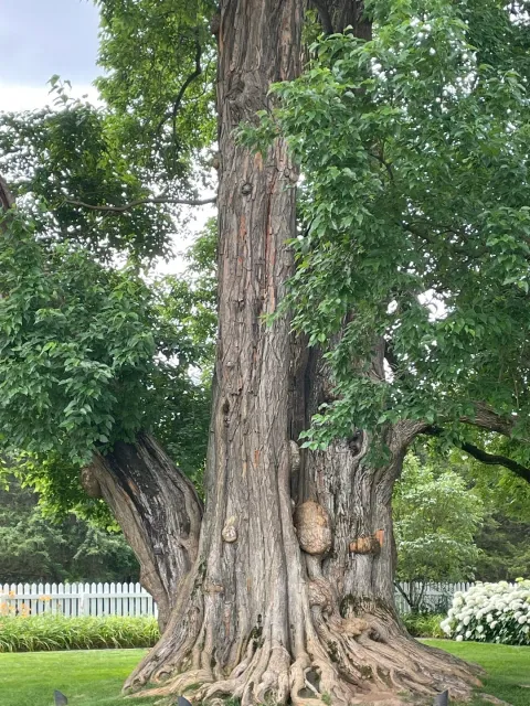 Bringing History to Life – A Truly Worthwhile Learning Experience! 